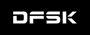 dfsk
